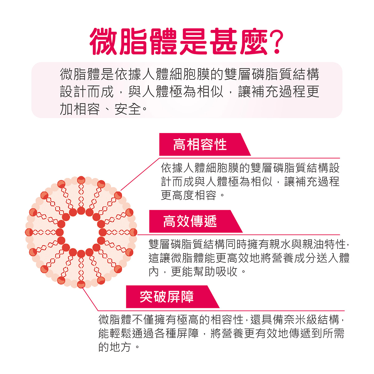微脂體是甚麼?