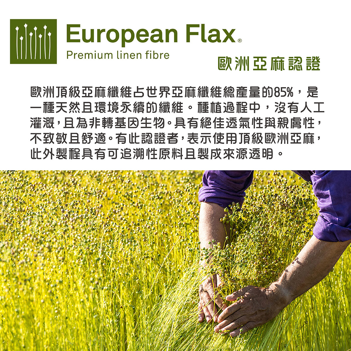 FLIAD亞麻認證